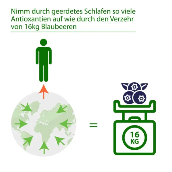 Antioxidatien Erdungsprodukte
